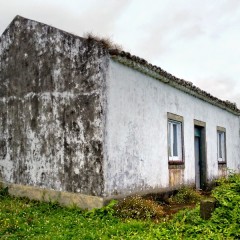 House reforms Azores