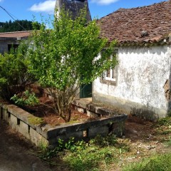House reforms Azores