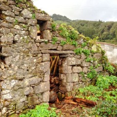 House reforms Azores