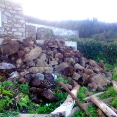 House reforms Azores