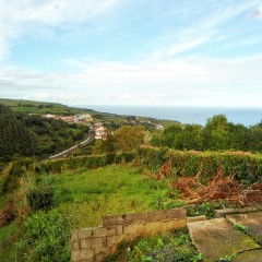 House reforms Azores