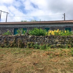 House reforms Azores