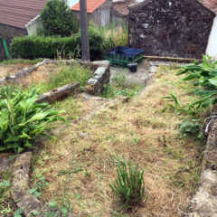 House reforms Azores