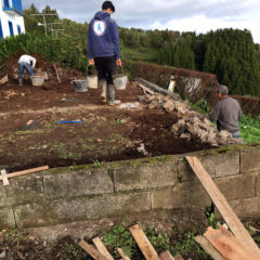 House reforms Azores